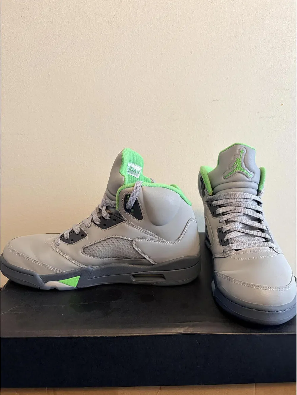 Air Jordan 5 Retro Green Bean Silver/Grey Shoe (Size 10.5)
